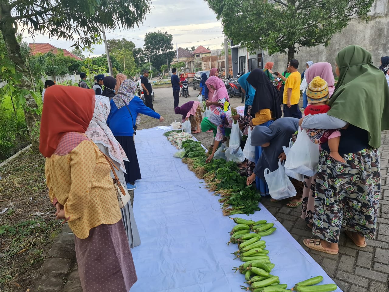Yuk...ikutan Webinar SUKSES USAHA SAAT KULIAH